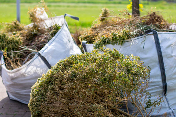 Best Junk Hauling Services  in Kenmore, NY